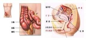 痔疮炎3.jpg